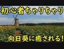 【チバイチチャレンジ】初心者チャリチャリ始めました！印旛沼CR前半【#2】
