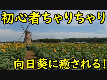【チバイチチャレンジ】初心者チャリチャリ始めました！印旛沼CR前半【#2】