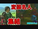 あ！有能な点が変装ぐらいしかない組織じゃん！【ゼルダの伝説 ティアーズ オブ ザ キングダム】#91