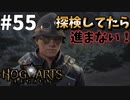メインのつもりが行ったことのない土地を探検する【ホグワーツ・レガシー】#55