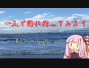 海に一人で行ってみよう