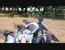 いたこのさんぽ#2【丹沢湖】