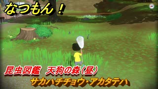 なつもん！　昆虫図鑑　天狗の森（昼）　サカハチチョウ・アカタテハ　昆虫集めてステッカーを貰おう！　＃５２３　【なつもん！20世紀の夏休み】