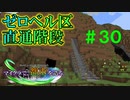 【Minecraft】マイクラで、都市を造る。＃３０【ゆっくり実況】