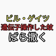 蚊の繁殖を防ぐためにバラ撒かれたビル・ゲイツの遺伝子操作した蚊。バラ撒いた地域でマラリア、ハンセン病患者激増