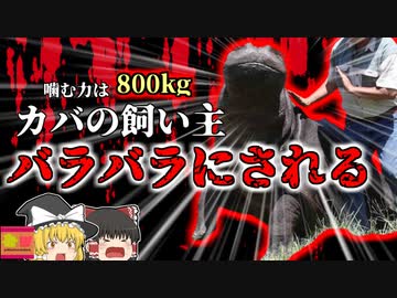 【2011年】愛情をこめて育てたペットに四肢をもがれバラバラにされた男性…噛む力は自然界第二位!?800kgの噛む力…『南アフリカ ハンフリー事件』【ゆっくり解説】