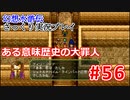 【夫婦で】幻想水滸伝さっくりプレイ#56【実況】