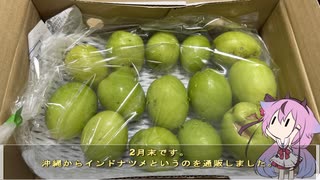 珍食材が食べたい！#154 インドナツメのパイ的なもの