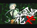 金星花火/知声×初音ミク