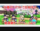 水着バーゲスト　宝具1（スキル6.9.6）で桃源郷（狂）をシステムしてみた