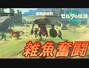 【日刊ゼルダ】神ゲーを全力で楽しむ実況《ティアーズ オブ ザ キングダム》　#１２