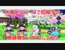 水着メリュジーヌ　宝具1（スキルマ）で桃源郷（狂）をシステムしてみた
