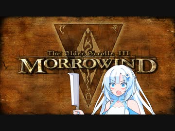 クールビューティーのMorrowind観光その3【TES3】