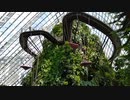 シンガポールの近未来型植物園ガーデンズ・バイ・ザ・ベイのクラウド・フォレスト③