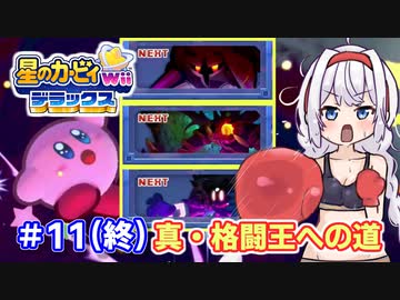 【星のカービィwiiデラックス】主人公はボクダヨ！part11(終)【VOICEROID実況】