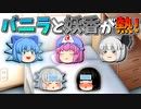 【ゆっくり茶番】熱を出した妖香とバニラ