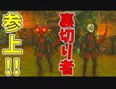 これがゼルダ姫の騎士の姿か？【ゼルダの伝説 ティアーズ オブ ザ キングダム】#92