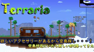 【Terraria】欲しいアクセのために空の上を探索...！"11