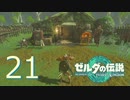 史上最強のバカ勇者による『ゼルダの伝説　ティアーズ　オブ　ザ　キングダム』　part21