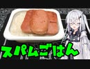 「スパムごはん」アリアルさんの無益な情報 21【ソフトウェアトークキッチン】
