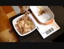 話題の吉野家の並盛りと特盛りを計ってみた