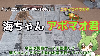 【ずんだもん】タランチュラとクワガタのお家を作るのだ