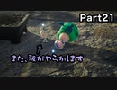 オッチンの為に探索開始【ピクミン4】Part21