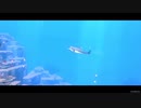 #5 深海へ行こうとしたら変な声が聞こえてきました。【DAVE THE DIVER】