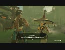 【#ゼルダの伝説TotK】伝承世界冒険記 #91