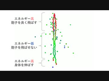 【人工生命】あるダンベル型生物の進化と共存について【Praparat】#4