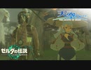 【ゼルダの伝説TotK】天空へ… #26