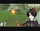 強い(確信)[ゼルダの伝説 ブレスオブザワイルド]＃７