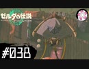 【ティアキン＃38】凡人が行く龍泪旅