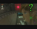 言葉が通じなくても世界は救える　TotKバーサーカーモード Part5