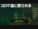 #21【ゼルダの伝説 ブレス オブ ザ ワイルド】コログの可愛さに癒されよう！