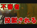 あれ？もしかしてわし捕まってる？【ゼルダの伝説 ティアーズ オブ ザ キングダム】#94