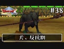 #38【ドラクエ8】フルボイスで楽しむ3DS版ドラゴンクエスト8【女性実況】