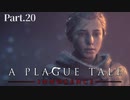 【A Plague Tale -Innocence-】ゲーム実況 #20 絶望を潜り抜け辿り着いた懐かしい場所はさらなる絶望が待ち受ける場所でした...