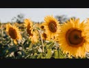 Smile Blooms／shimtone