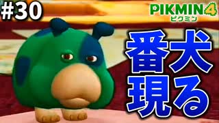 ピクミンを奪おうとするヤバい犬【ピクミン4】#30
