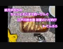 ちょっとそこまで釣～りんぐ「江戸川放水路、江戸前ハゼの天ぷら」【結月ゆかり】