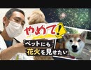 「愛犬にも花火を見せてあげたい」はＮＧ　コロナ禍でペットを飼い始めた人、気を付けて！