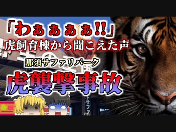 【2022年】「わあぁぁぁ!!」虎の檻に繋がる通路から聞こえた悲鳴…飼育員の女性が腕を噛みちぎられる『那須サファリパークトラ襲撃事故』【ゆっくり解説】