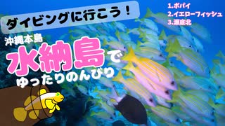 【水納島】台風後の海でのんびり楽しむ！ ～ダイビングに行こう！～