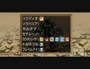 【実況】天空の果てへ君と【Sky And Earth】22