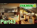 未知の巨大建造物？ 一番星のかくれ家【PIKMIN4実況part43】
