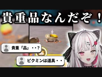 石神のぞみのピクミン4ここ好きまとめ