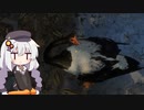 広大な大自然で狩りをするあかりちゃんのtheHunter: CotW#56