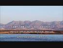 SAENSキン(統一列車は走る)【NorthKorea_mania】