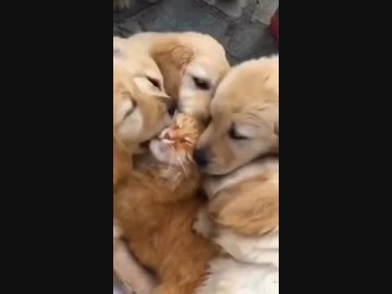 ホモと見る陽キャにめちゃくちゃモテてる陰キャ